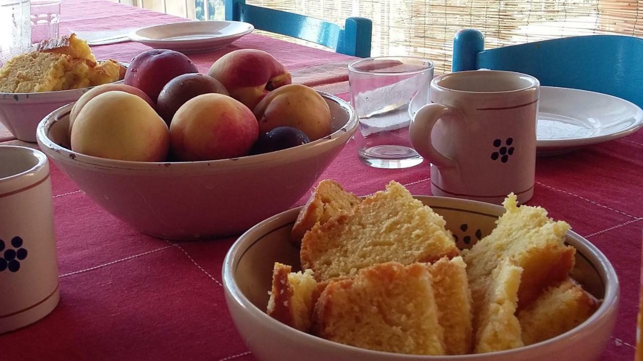 B&B Calabria Scigliano エクステリア 写真