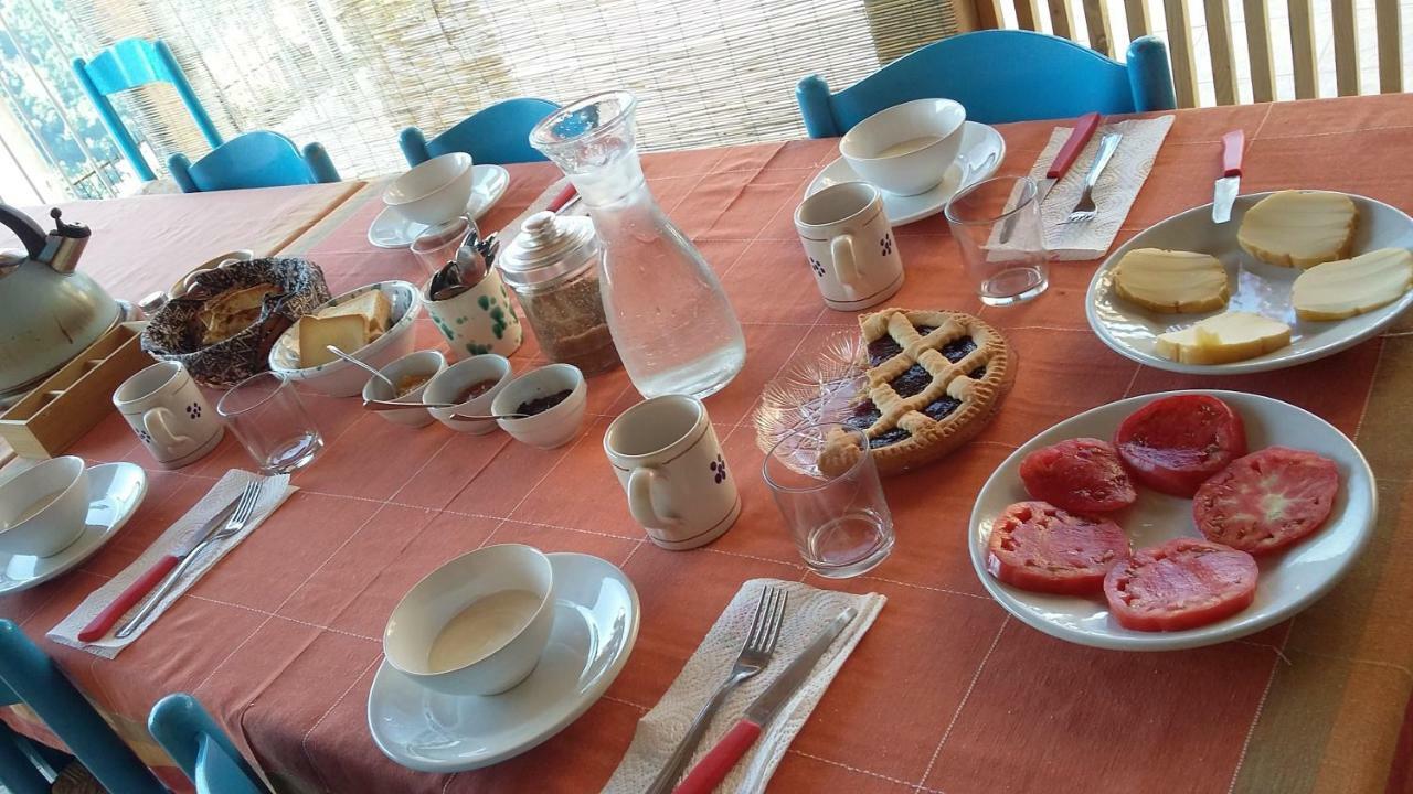 B&B Calabria Scigliano エクステリア 写真