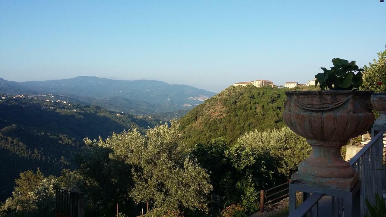 B&B Calabria Scigliano エクステリア 写真
